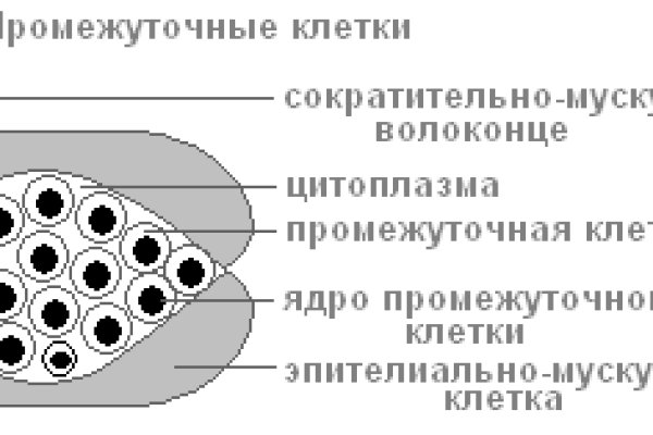 Что вместо меги сейчас