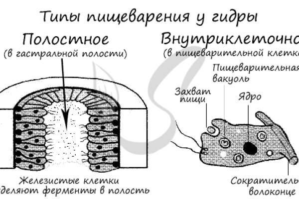 Кракен вход ссылка kraken6.at kraken7.at kraken8.at